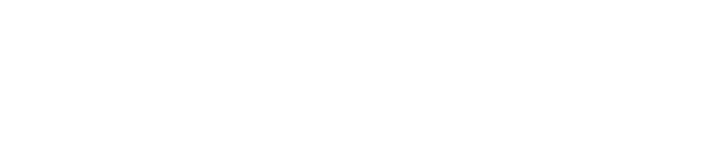 Co-funded by the European Union emblem